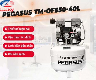 may-nen-khi-khong-dau-giam-am-pegasus-40-lit-4