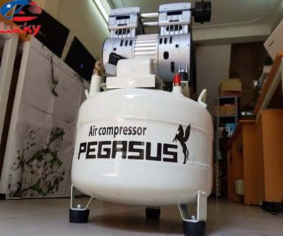 may-nen-khi-khong-dau-giam-am-pegasus-40-lit-5