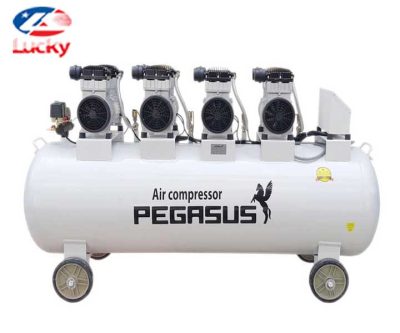 May Nen Khi Khong Dau Giam Am Pegasus 500l 1