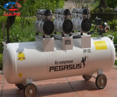 may-nen-khi-khong-dau-pegasus-120l-3hp-2