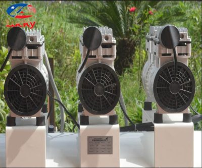 may-nen-khi-khong-dau-pegasus-120l-3hp-4
