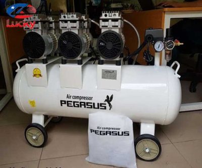 may-nen-khi-khong-dau-pegasus-180l-4.5hp-3
